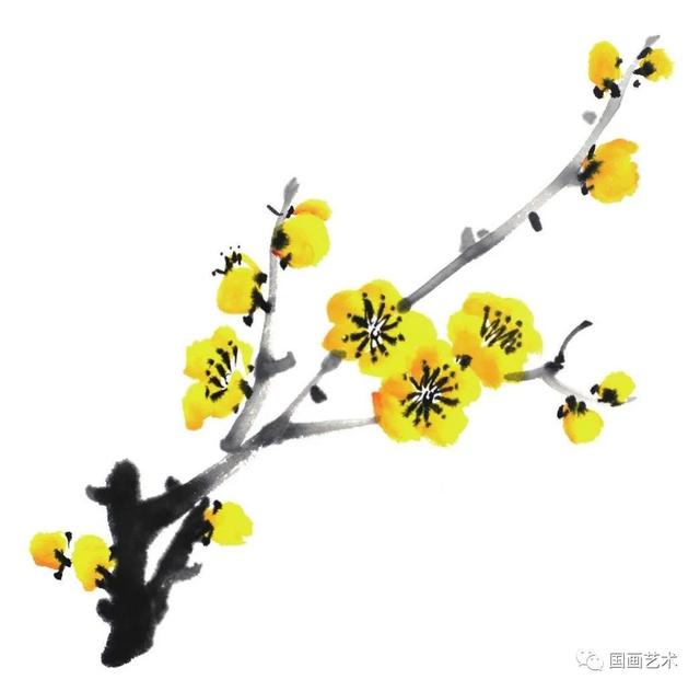 王成喜写意梅花的画法教程（图文教程白梅红梅）(31)