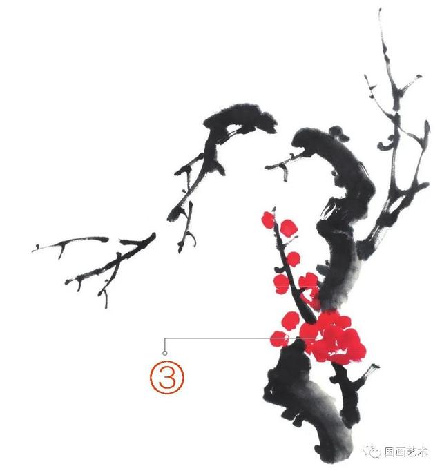 王成喜写意梅花的画法教程（图文教程白梅红梅）(13)