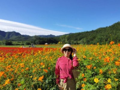 ​延庆四季花海攻略（京郊推出多条春日赏花精品线路）