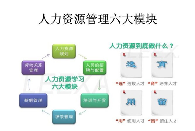 人力资源六大模块哪个模块最容易