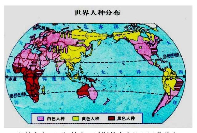 黄种人主要分布在哪里，黄种人主要分布在哪里？图3