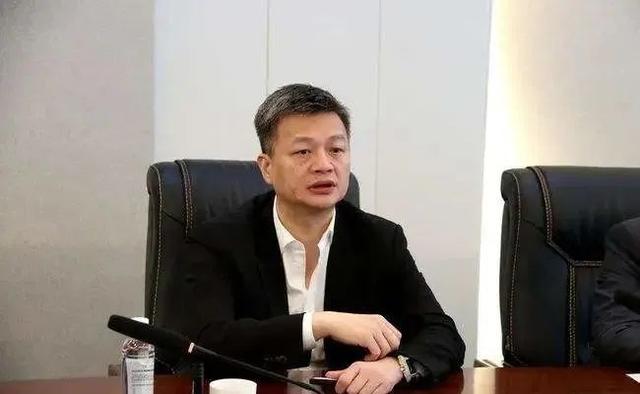 毛坦厂镇招商引资（苏氏家族回家乡投资15亿）(6)