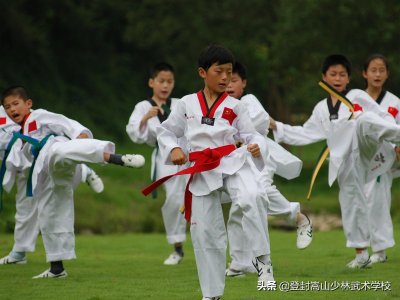 ​跆拳道和散打哪个实用（跆拳道跟散打到哪里去学效果更好）