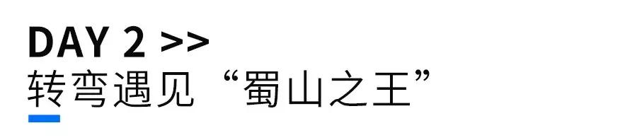 20万元的预算买什么硬派越野车（2.5L7AT卖20万的硬派越野）(14)