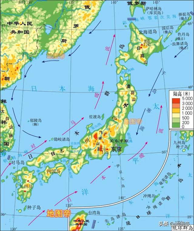 安倍晋三被刺杀时间（安倍晋三遇刺身亡）(4)