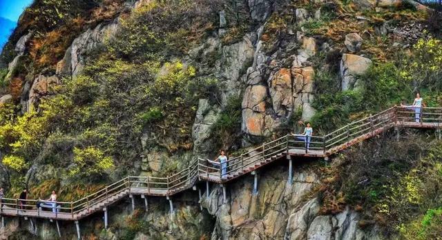 南阳七峰山旅游攻略（一场说走就走的旅行）(16)