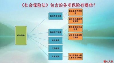 ​灵活就业养老保险养老金标准（灵活就业人员参加养老保险）