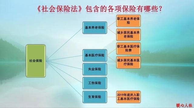 灵活就业养老保险养老金标准（灵活就业人员参加养老保险）(1)