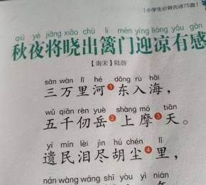 秋夜将晓出篱门迎凉有感，这首诗表达了作者什么情感