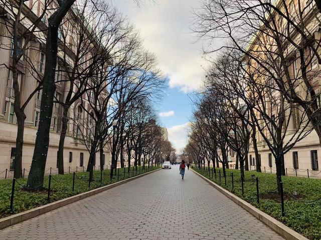 哥伦比亚大学排名世界第几名（哥伦比亚大学世界排名第几）(1)