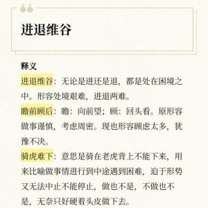 ​进退维谷造句简单(进退维谷造句10字)