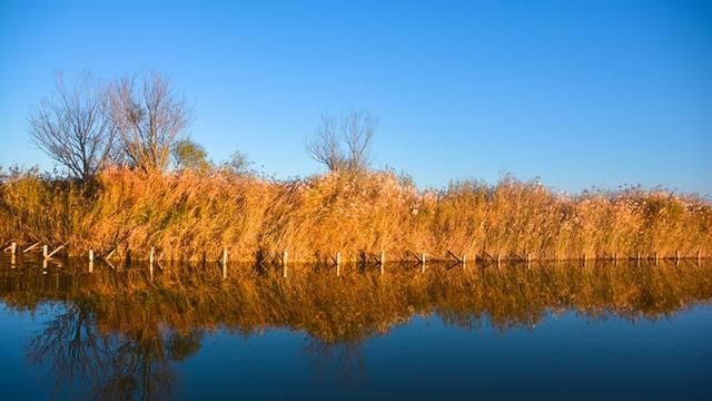 河口区美食，黄河口的美食美景你最感兴趣的是什么？图22