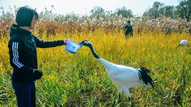 河口区美食，黄河口的美食美景你最感兴趣的是什么？图5