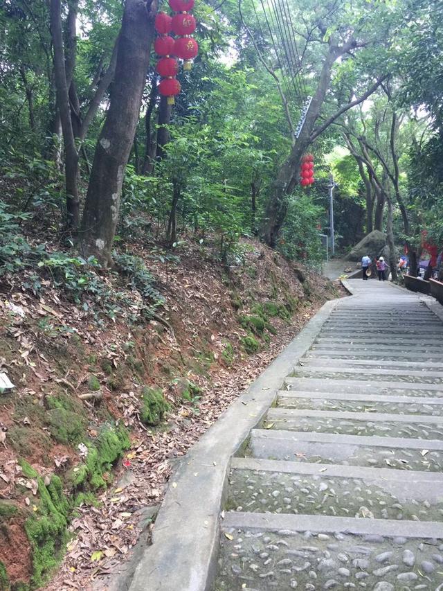 高州冼太庙景观（高凉岭冼太庙的旅游风景）(5)