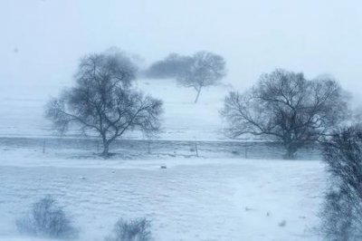 ​燕山雪花大如斗出自哪首诗