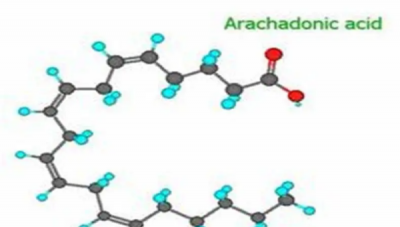 ​花生四烯酸是什么,二十碳四烯酸是什么东西