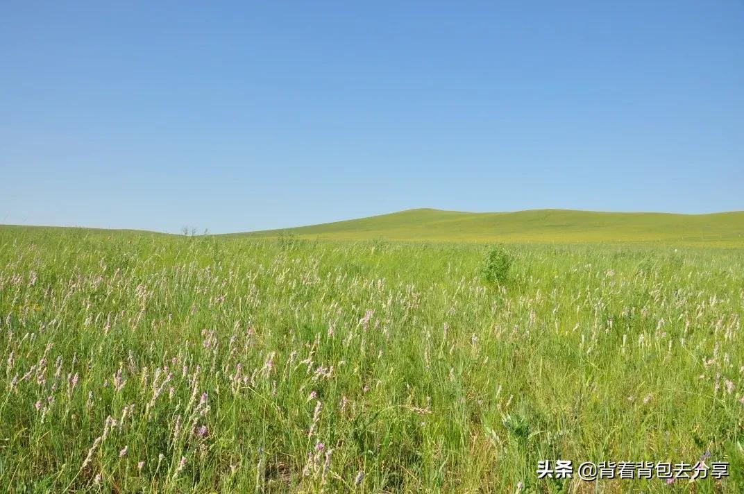 内蒙古旅游必去的10个景点(内蒙古旅游攻略必玩的景点)