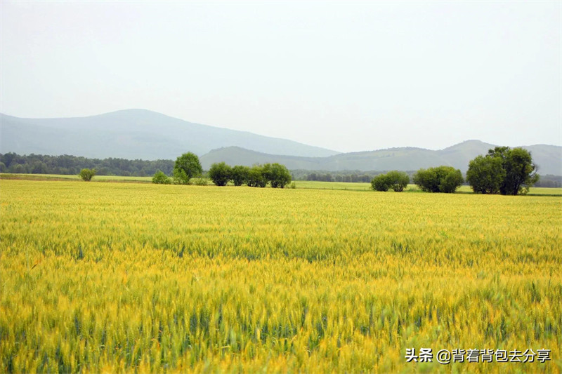 内蒙古旅游必去的10个景点(内蒙古旅游攻略必玩的景点)