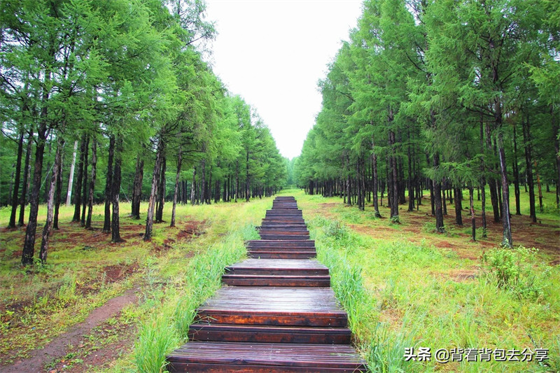 内蒙古旅游必去的10个景点(内蒙古旅游攻略必玩的景点)