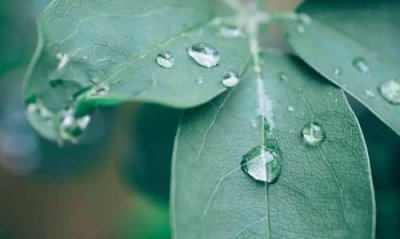 ​雨有什么作用，夜雨寄北:巴山夜雨秋涨池,这句话诗人写雨有什么作用？