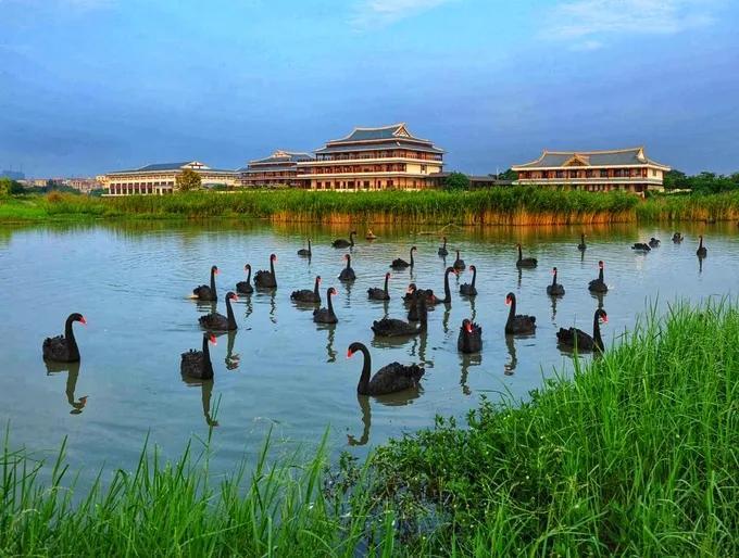 五缘湾属于哪个区(厦门五缘湾是哪个区)