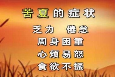 ​什么是苦夏,我这不存在,什么是苦夏