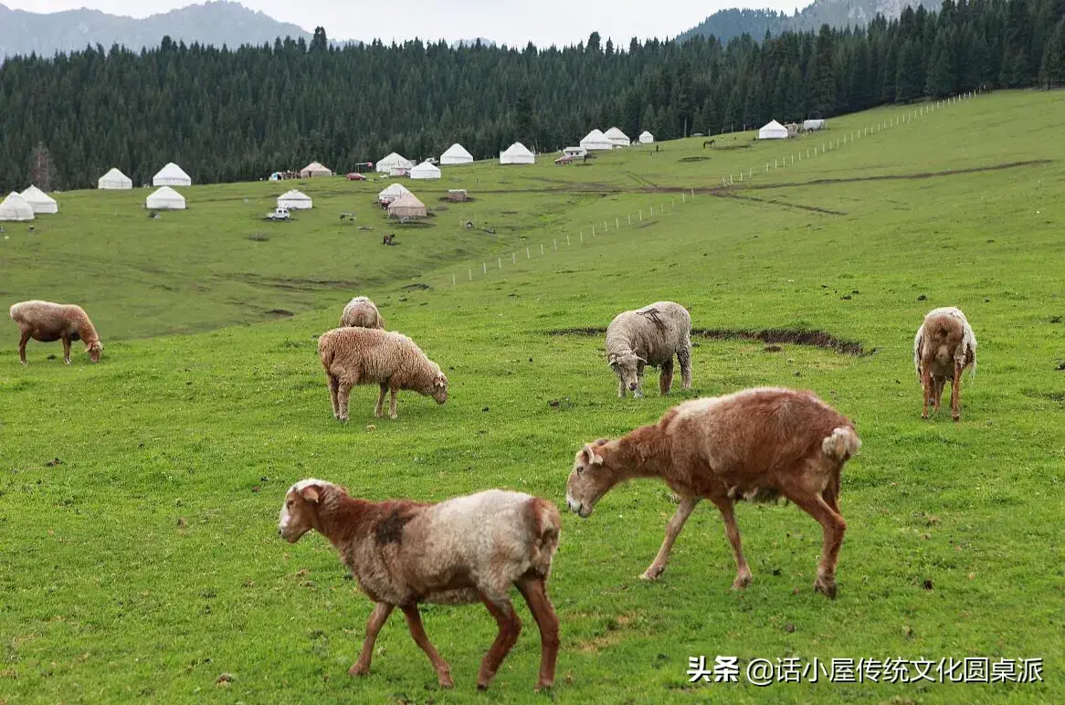 世界最低的盆地是哪里(世界上最低的盆地)