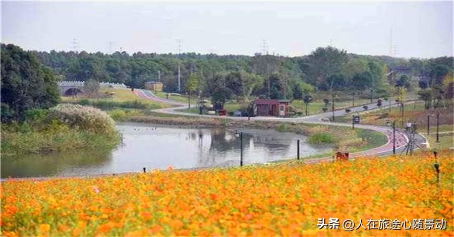 嘉兴南湖区旅游景点有哪些(南湖区旅游景点大全)