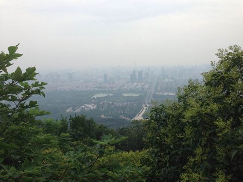 1、合肥大蜀山露营基地