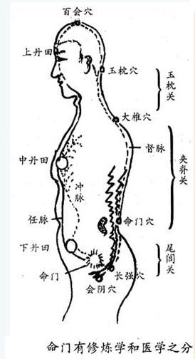 丹田的准确位置图和作用（带你深入了解丹田）(3)