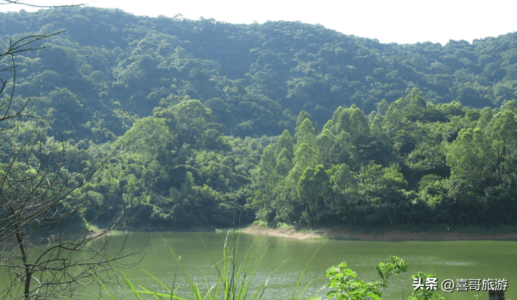 天河区是哪个省哪个市(广州天河区街道划分)