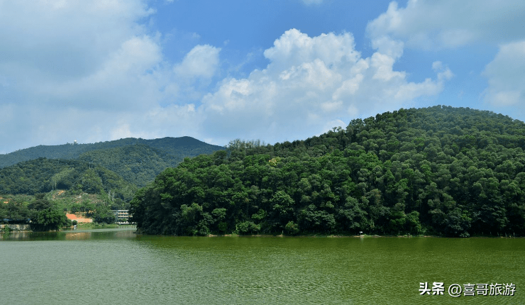 天河区是哪个省哪个市(广州天河区街道划分)