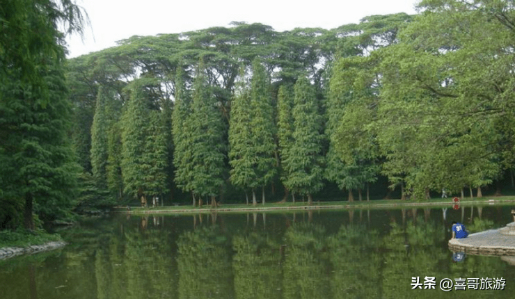 天河区是哪个省哪个市(广州天河区街道划分)