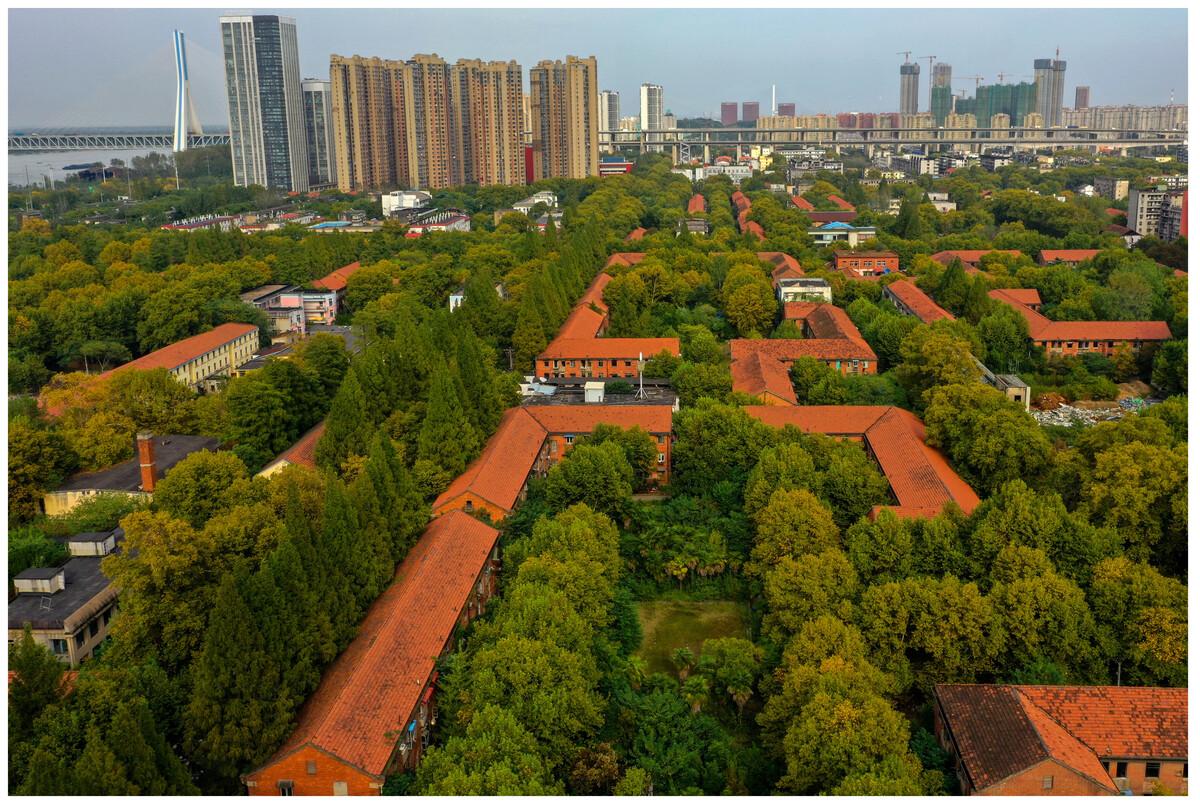 青山区属于哪个省哪个市(湖北青山区属于哪个市)