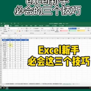 ​excel基本操作教程及技巧（Excel新手必会三个技巧）