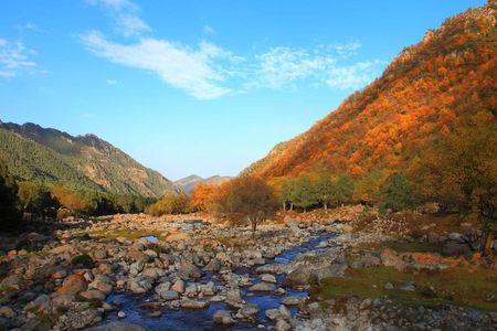 四川省15个天然氧吧县