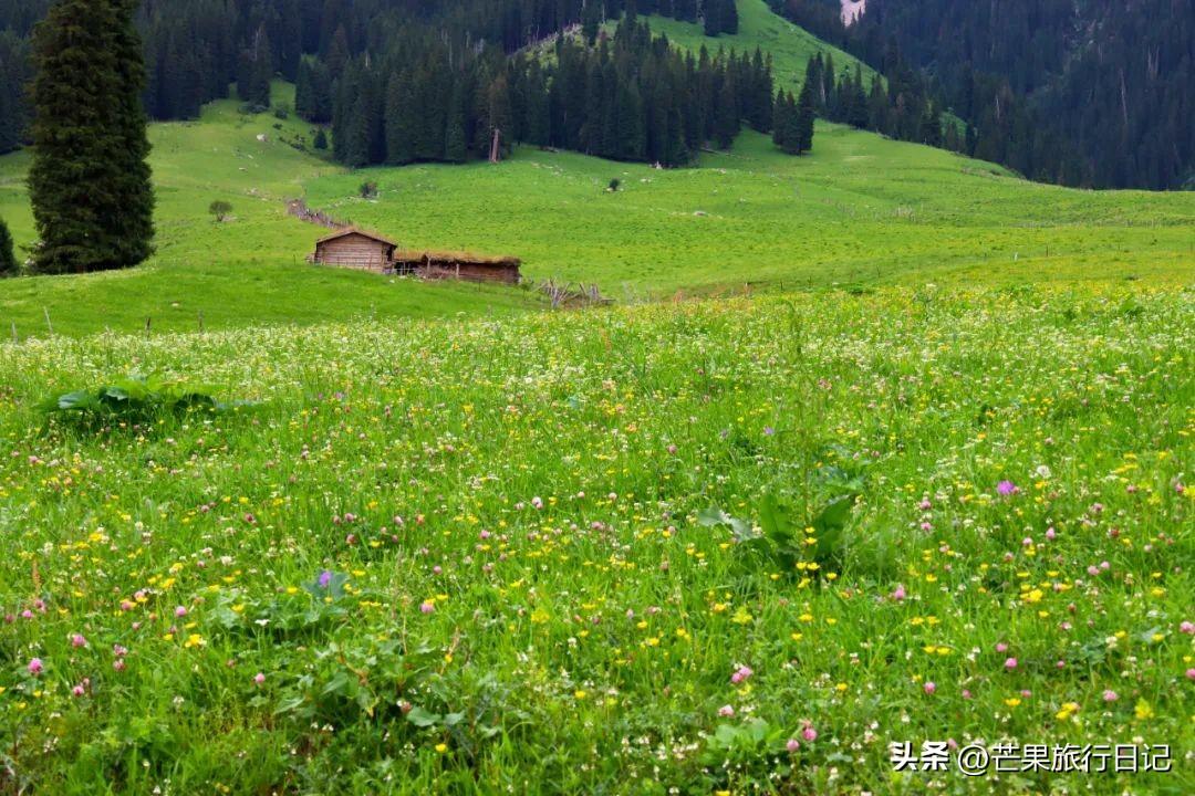 伊犁旅游攻略路线(新疆伊犁旅游怎么玩最全攻略)