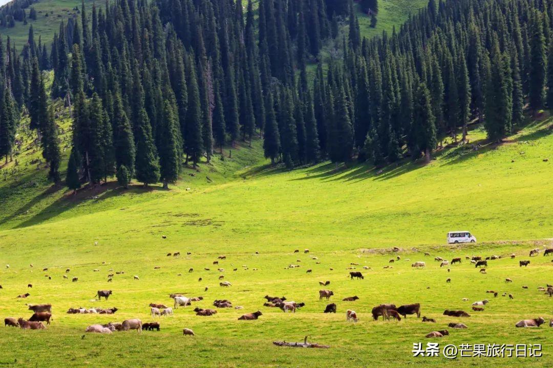 伊犁旅游攻略路线(新疆伊犁旅游怎么玩最全攻略)