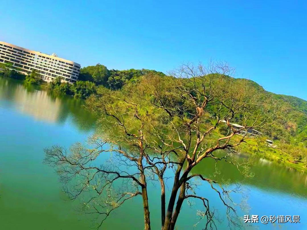 广州水声水库在哪里(广州水声水库可以钓鱼吗)