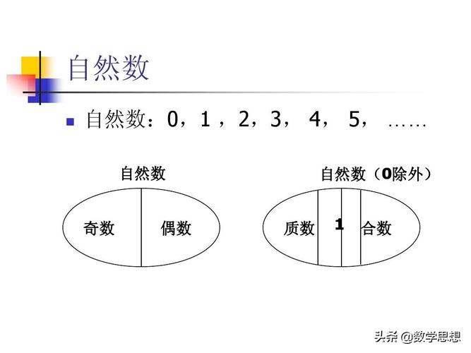 自然数包括（都有哪些内容）