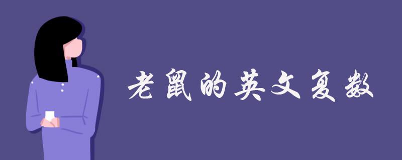 mice怎么读音（mice解释）