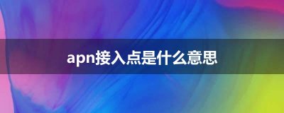 ​apn接入点是什么意思