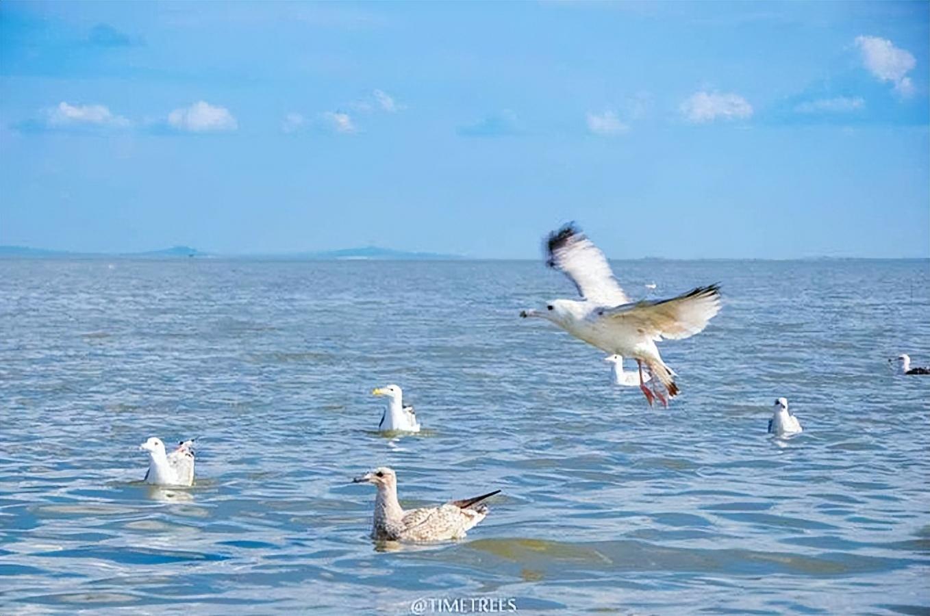 贝尔湖是中国的还是蒙古的(贝尔湖为什么划给蒙古)