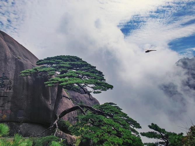 第二天：坐缆车上山，到迎客松—光明顶—莲花谷—迎客松—云谷寺—南屏。