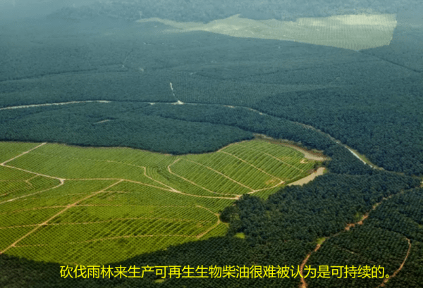 生物柴油是什么(生物柴油的优缺点)