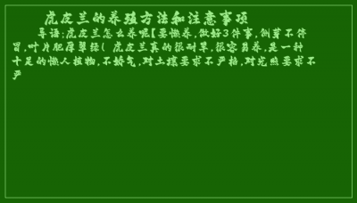 ​虎皮兰的养殖方法和注意事项