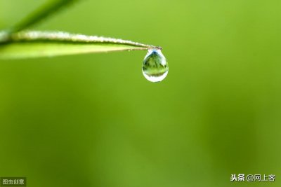 ​露是怎么形成的(露的形成是什么物态变化)