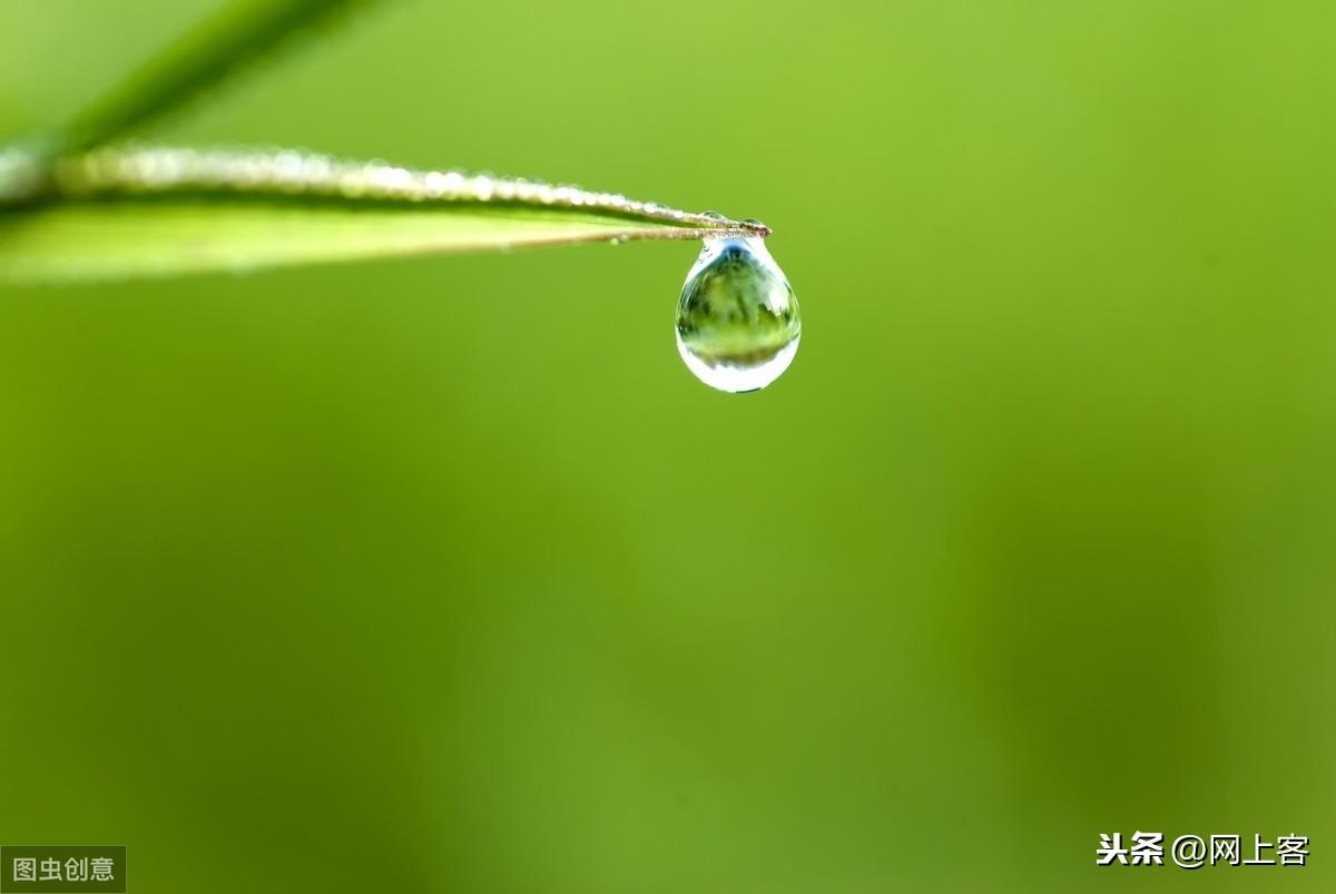 露是怎么形成的(露的形成是什么物态变化)