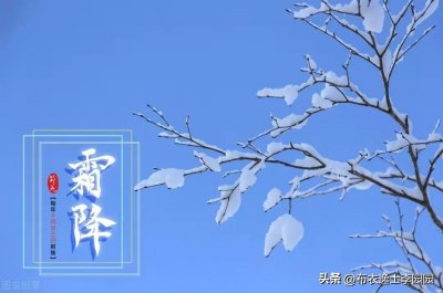 ​霜降节气的含义是什么(霜降节气的特点和风俗)