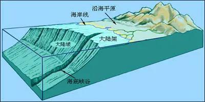 大陆架是什么意思(什么是大陆架)